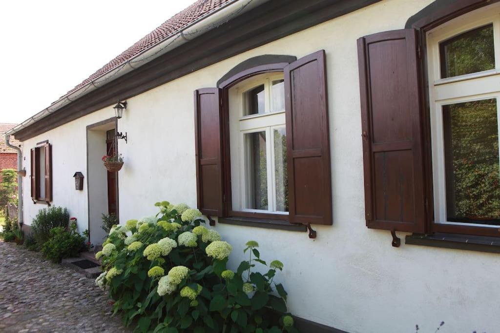 Oak House Nowy Dworek Apartment