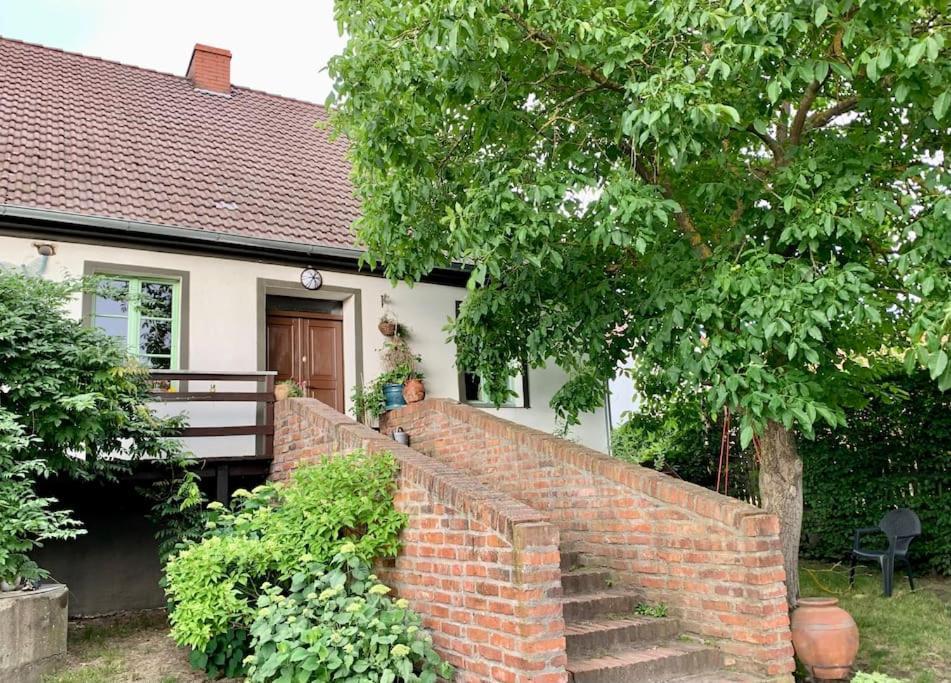 Oak House Nowy Dworek *